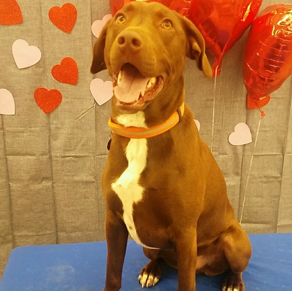 Meet Your Posher!!ππ - Picture 5 of 5